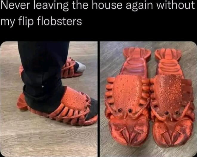 INCVETICE TR dalcR aelVEICRTotT g R my flip flobsters