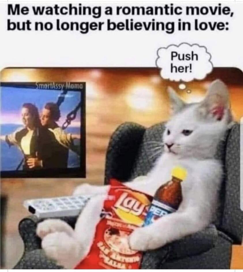 Me watching a romantic movie, but no longer believing in love:
Push her!