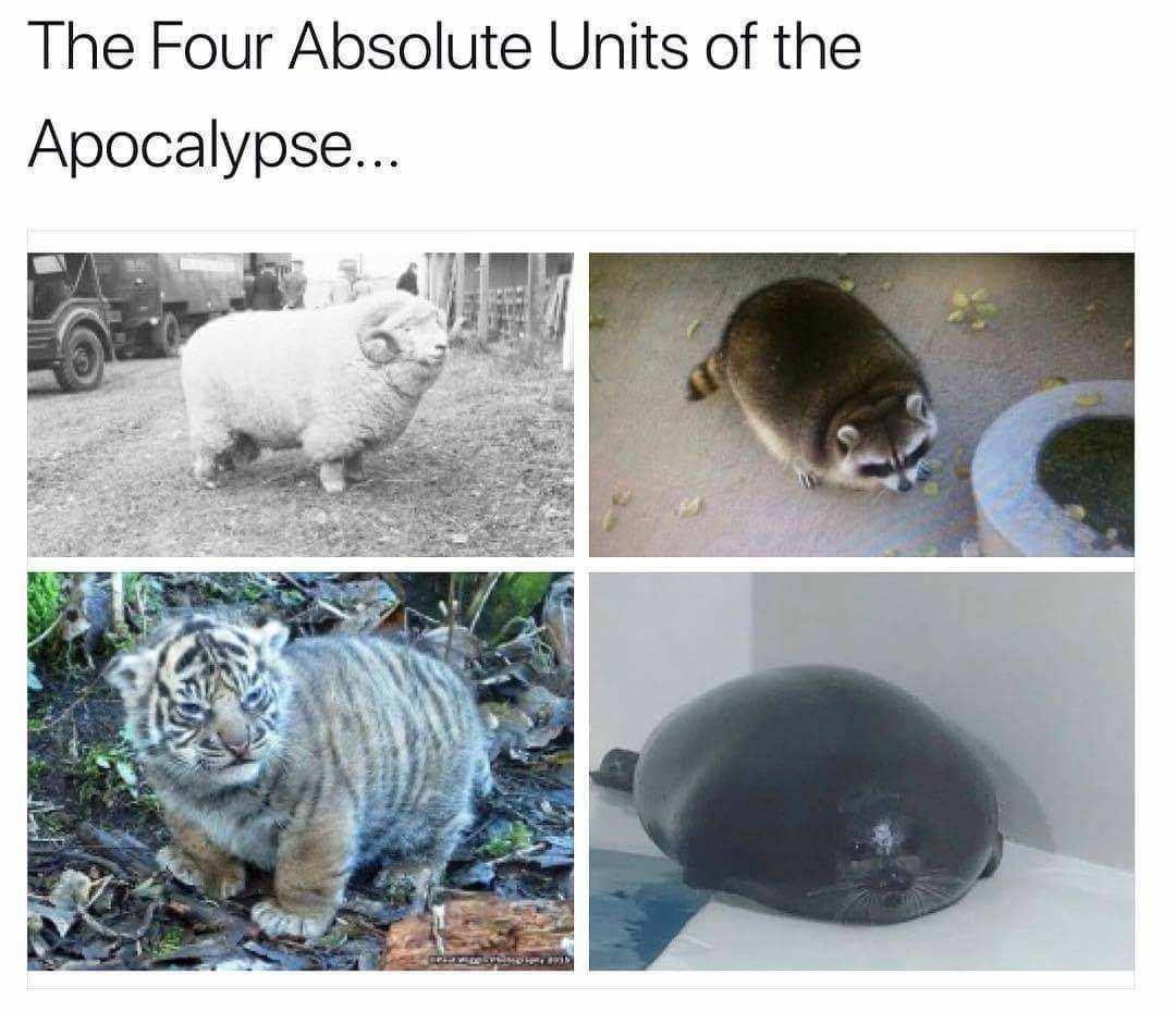 The Four Absolute Units of the Apocalypse