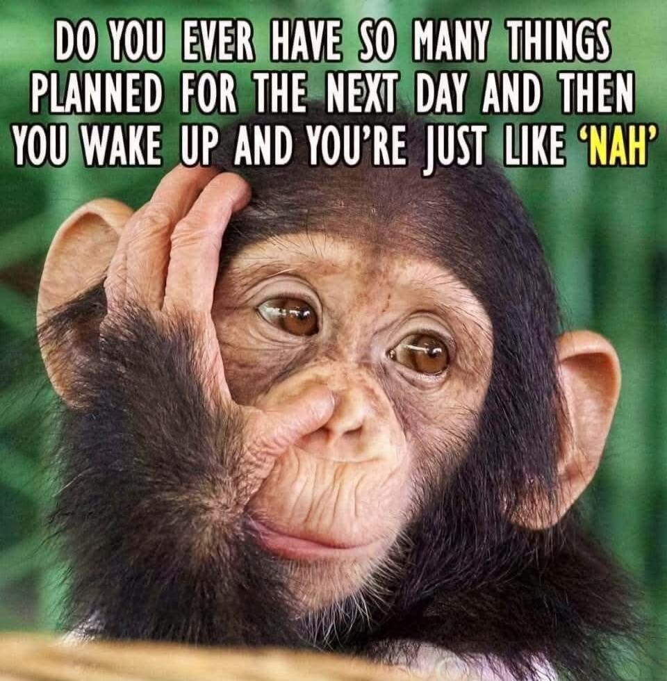 DO YOU EVER HAVE SO MANY THINGS PLANNED FOR THE NEXT DAY AND THEN YOU WAKE UP AND YOU'RE JUST LIKE 'NAH'
