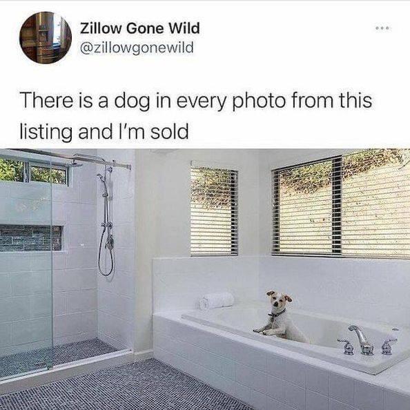 Zillow Gone Wild zillowgonewild There is a dog in every photo from this listing and Im sold