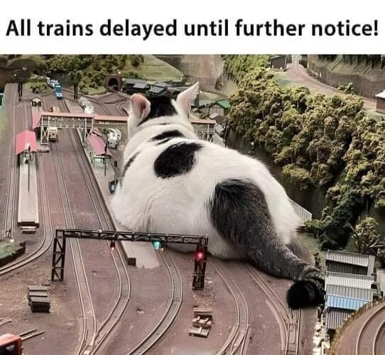 All trains delayed until further notice