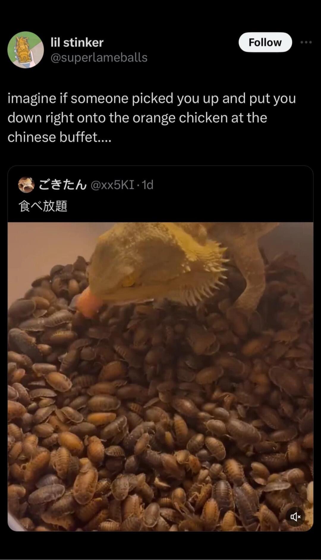 a lil stinker ETLEHENEREN imagine if someone picked you up and put you down right onto the orange chicken at the chinese buffet ZEIh xx5KI 1d BAEE