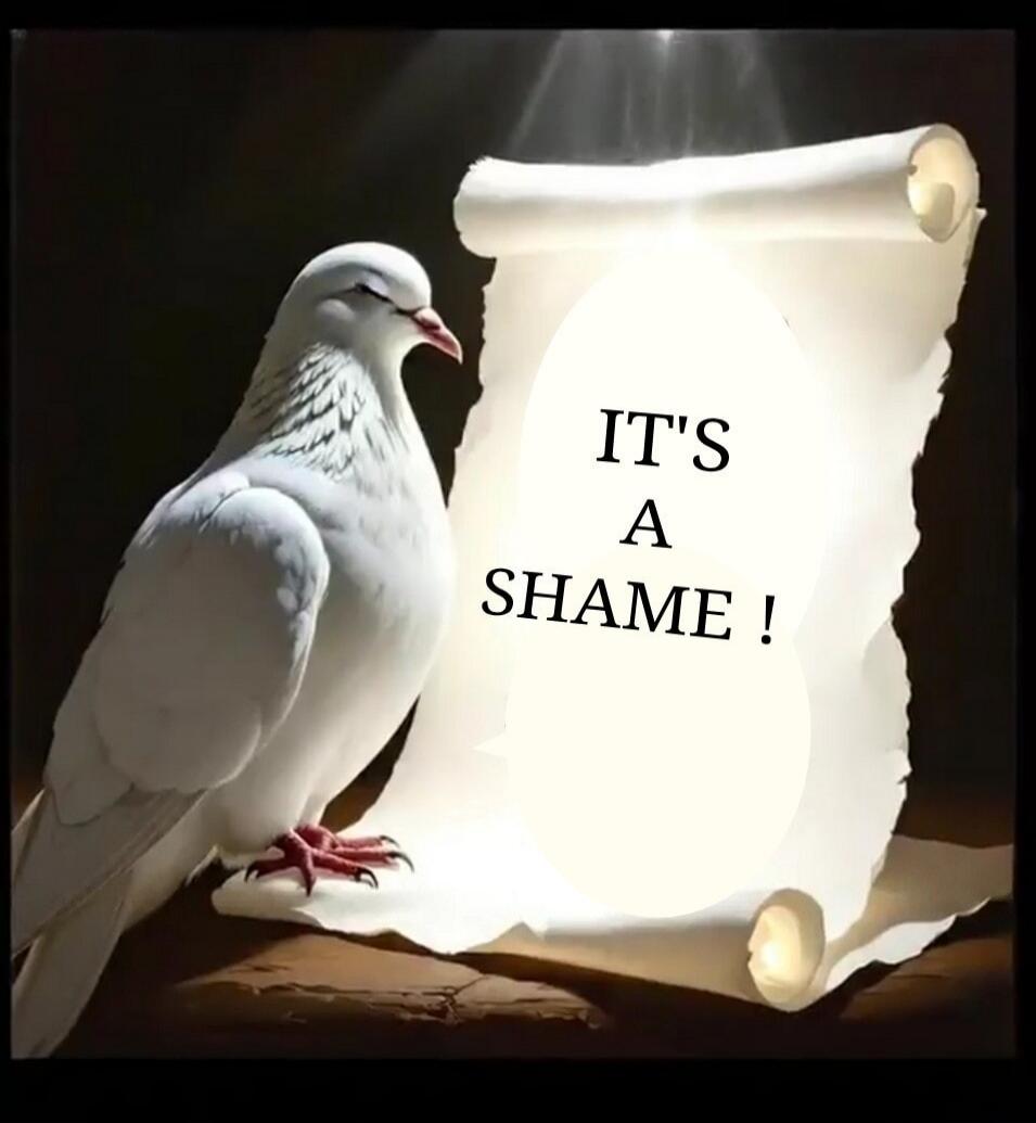 IT'S A SHAME!