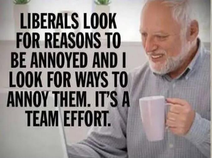 LIBERALS LOOK FOR REASONS TO BE ANNOYED AND I LOOK FOR WAYS TO ANNOY THEM. IT'S A TEAM EFFORT.