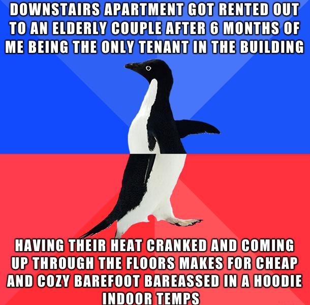 DOWNSTAIRS APARTMENTGOTRENTEDOUT TO AN ELDERLYCOURLEAFTER6MONTHS OF ME BEING THE ONLY TENANTINTHEIBUILDING HAVING THEIR HEATCRANKEDANDCOMING UPTHROUGH THE FLOORSIMAKES FORICHEAP AND COZY BAREFOOT BAREASSEDINAIHOODIE INDOORTEMPS