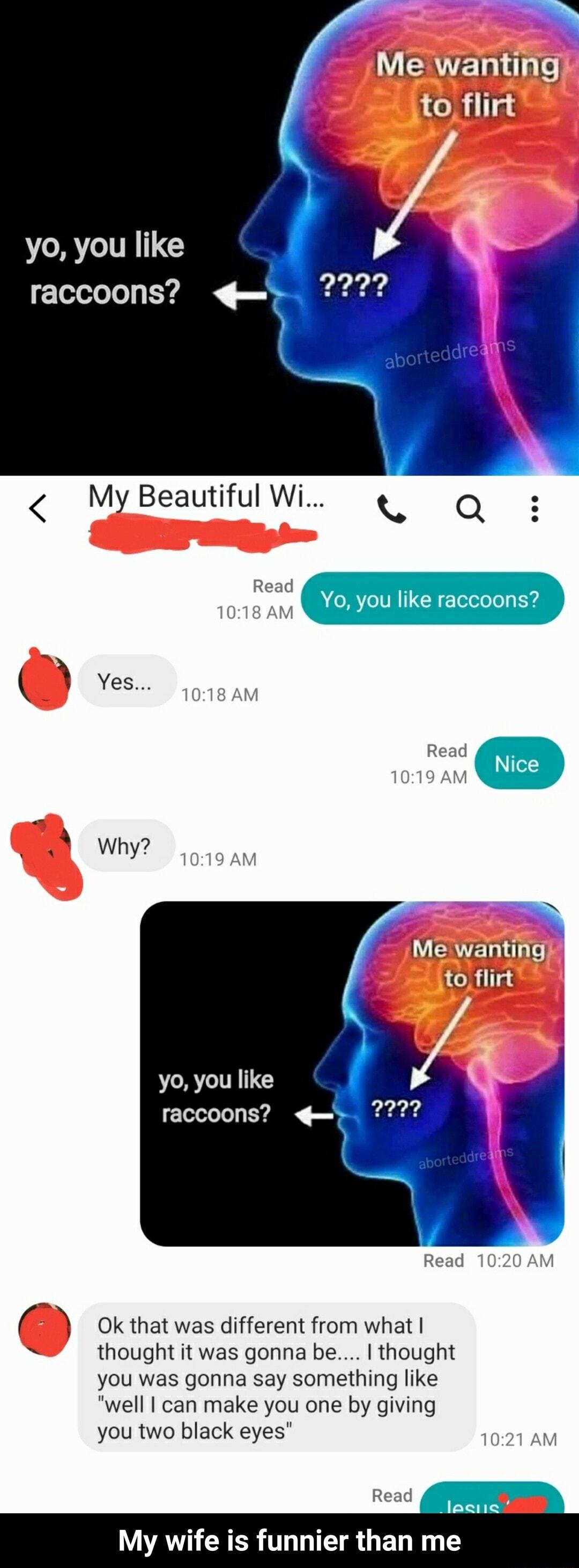 Me wanting 1o illns yo you like raccoons 2227 My Beautiful Wi Q Read 1018 AM Yo you like raccoons Yes 018 AM L ERVYERLT to flirt yo you like raccoons y 2227 f Ok that was different from what thought it was gonna be thought you was gonna say something like well can make you one by giving you two black eyes 1021 AM IPQHQ My wife is funnier than me