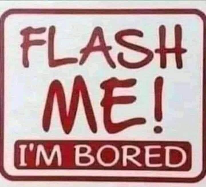 FLASH ME! I'M BORED
Session ID: 1089123.
