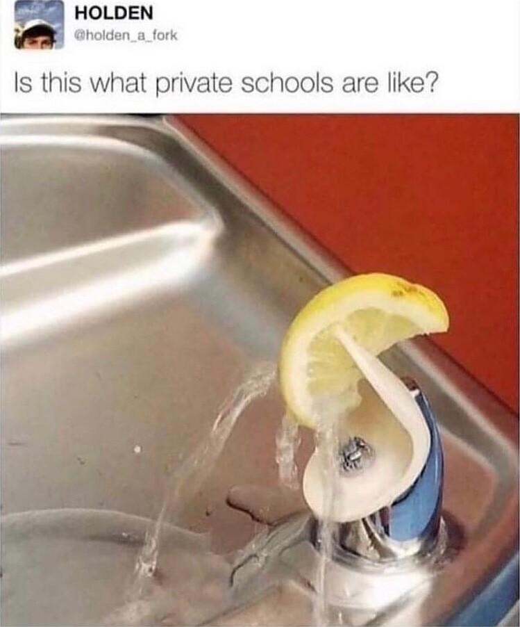 HOLDEN Is this what private schools are like