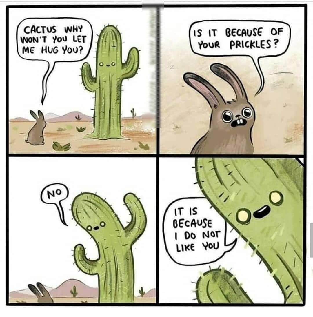CACTUS WHY N IS IT BECAUSE OF WONT You LET W ME HUG You YouR PRICKLES