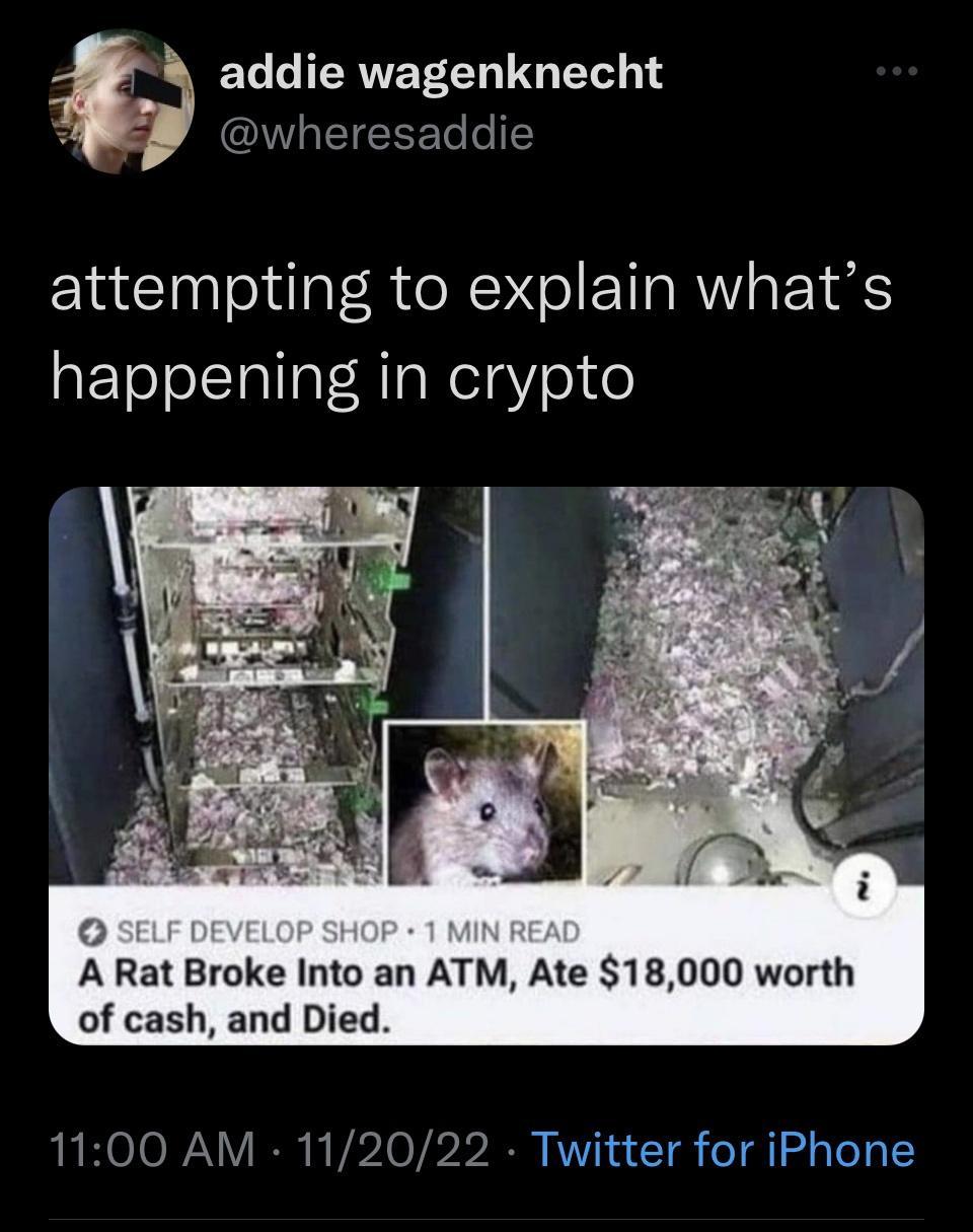 ELERVEEET G TN 1 IEIEEETe e 1 attempting to explain whats happening in crypto A Rat Broke Into an ATM Ate 18000 worth of cash and Died 1100 AM 112022 Twitter for iPhone