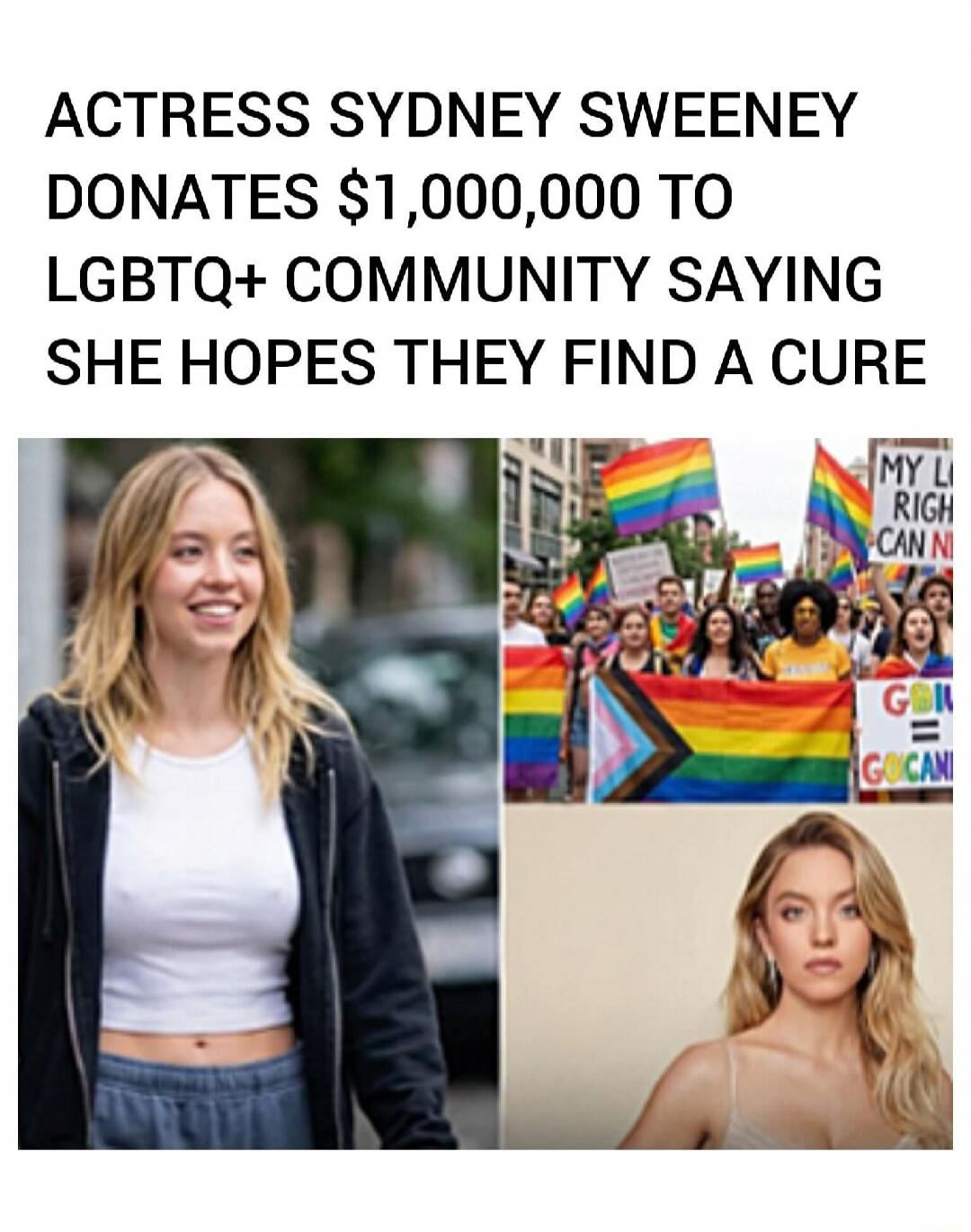 ACTRESS SYDNEY SWEENey DONATES $1,000,000 TO LGBTQ+ COMMUNITY SAYING SHE HOPES THEY FIND A CURE