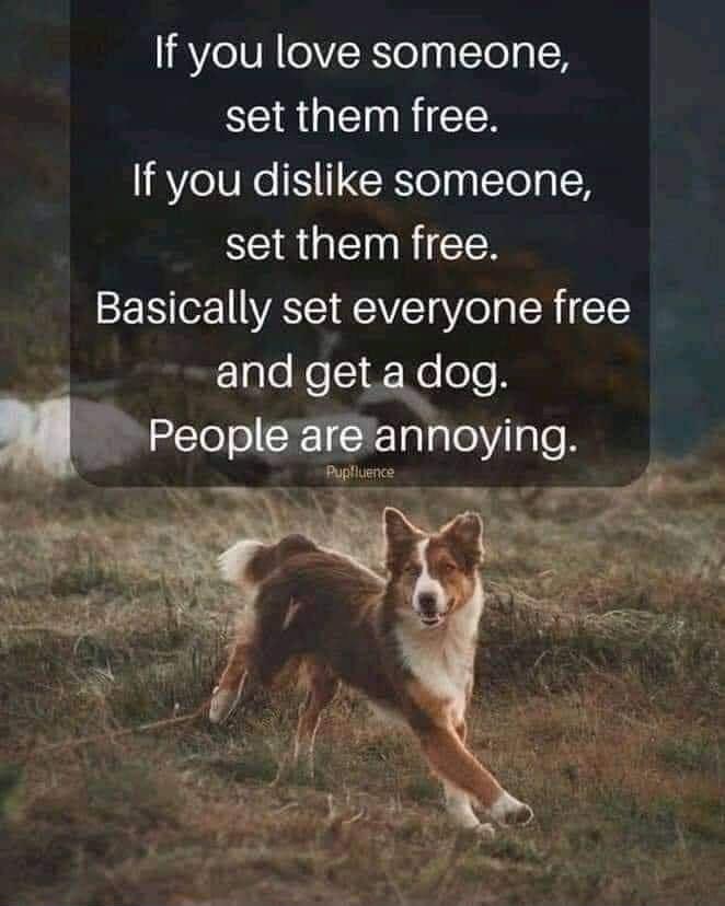 If you love someone set them free If you dislike someone set them free Basically set everyone free and gewog Peoplemannoying Puplivence