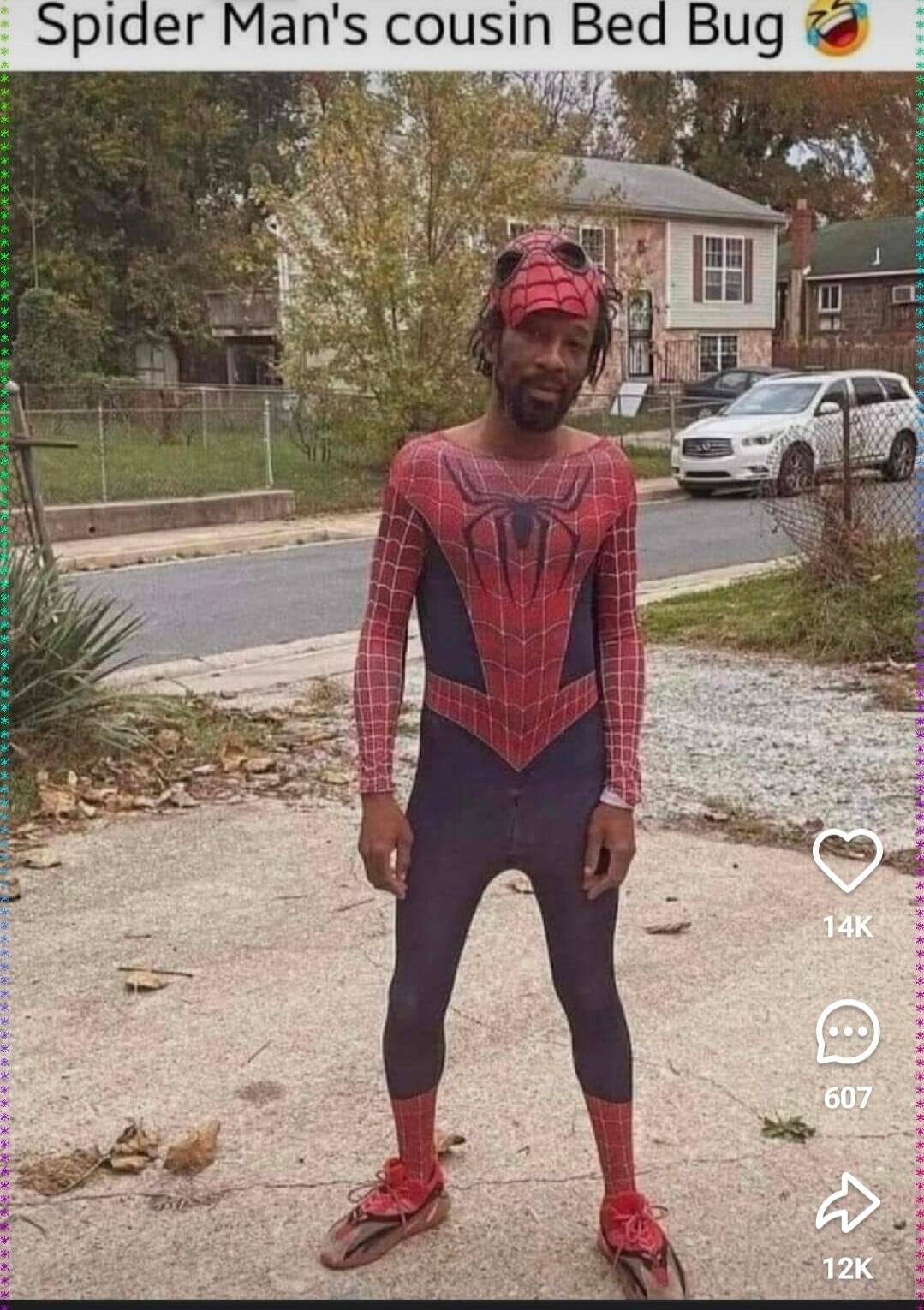 Spider Man's cousin Bed Bug 😂