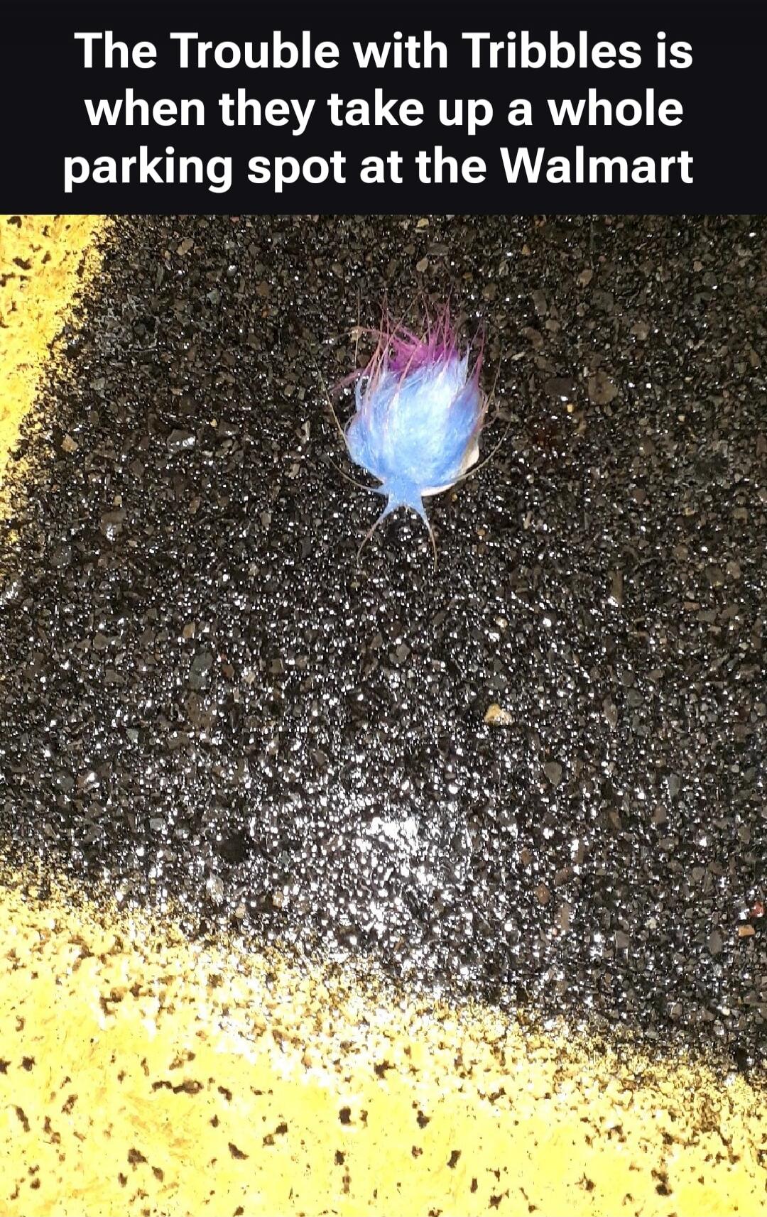 The Trouble with Tribbles is when they take up a whole parking spot at the Walmart
