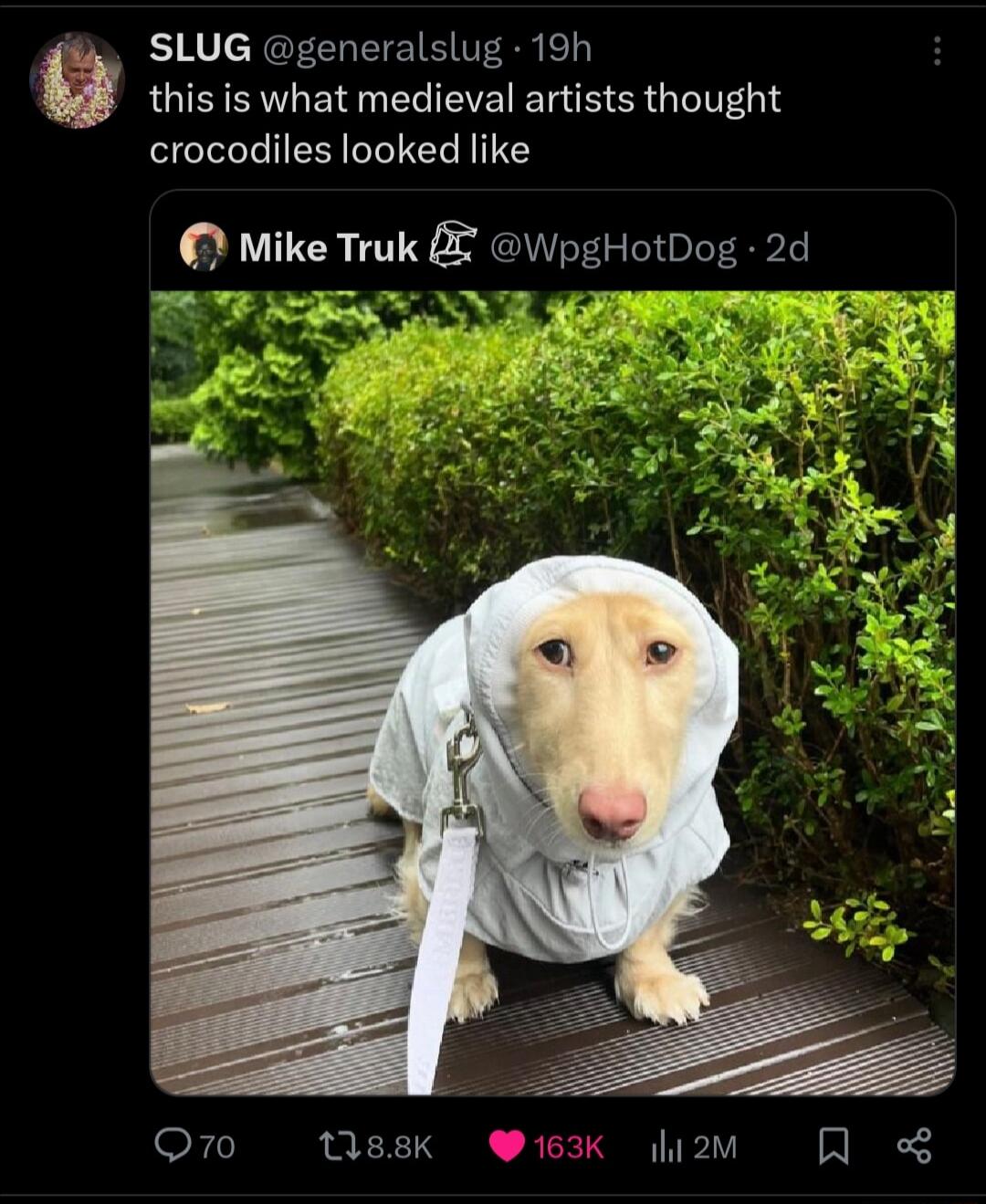 i SLUG generalslug 19h 3 this is what medieval artists thought crocodiles looked like Mike Truk WpgHotDog 2d P Oro nssK W163K hi2m