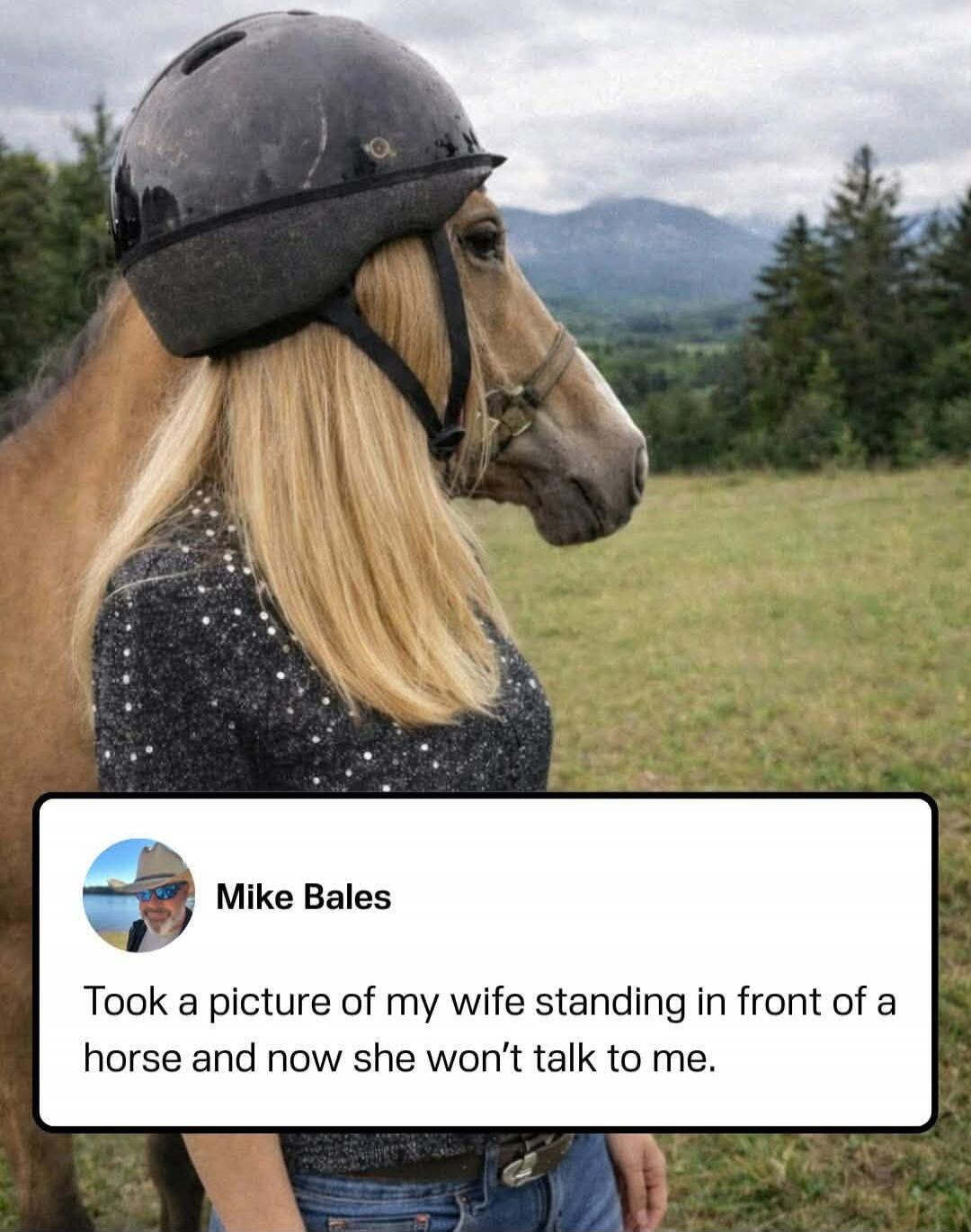 Took a picture of my wife standing in front of a horse and now she won’t talk to me.