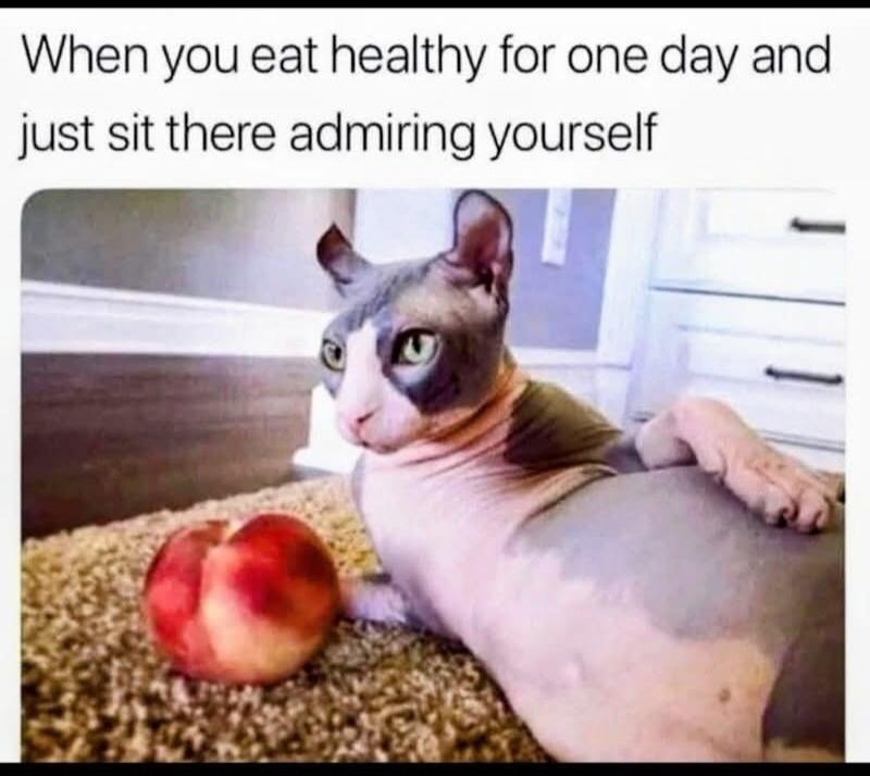 When you eat healthy for one day and just sit there admiring yourself