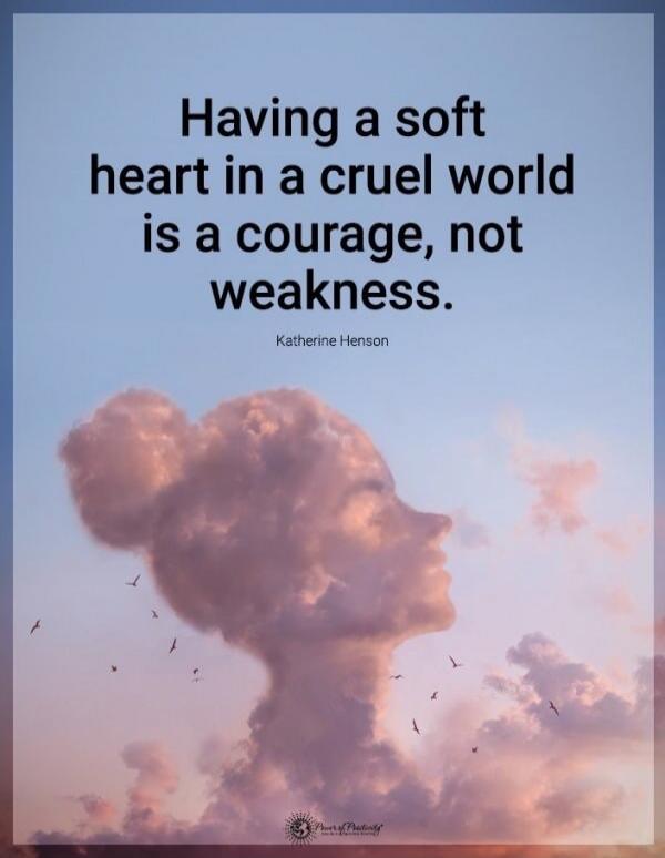 Having a soft heart in a cruel world is a courage, not weakness. Katherine Henson