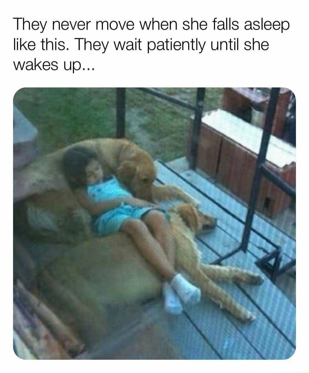 They never move when she falls asleep like this. They wait patiently until she wakes up...