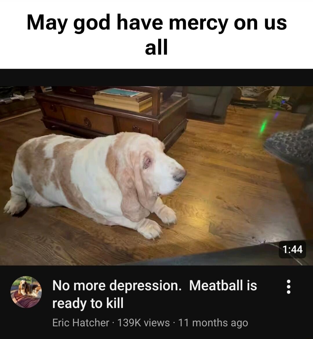 May god have mercy on us all. No more depression. Meatball is ready to kill.