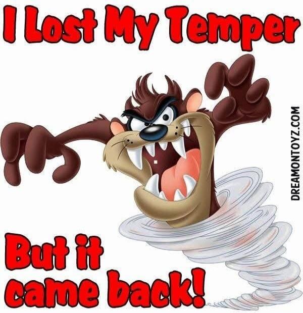 I Lost My Temper But it came back! DREAMONTOYZ.COM