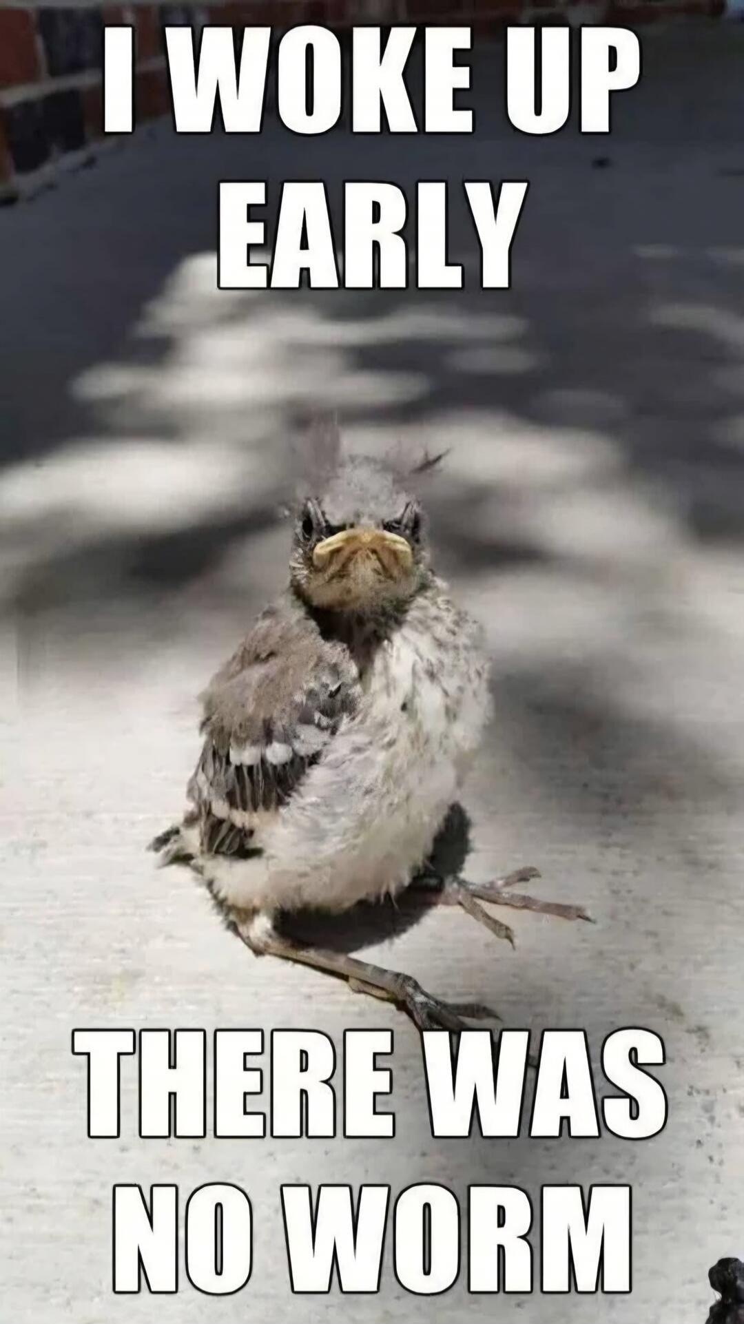 I woke up early there was no worm
