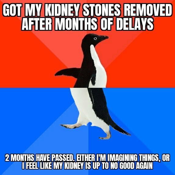 GOTMYKIDNEYSTONESIREMOVED RAFTER MONTHS OFDELAYS 2 MONTHS HAVE PASSED EITHER IM IMRGINING THINGS OR 1FEELLIKEMYKIDNEYISUPTONOGOOD AGAIN
