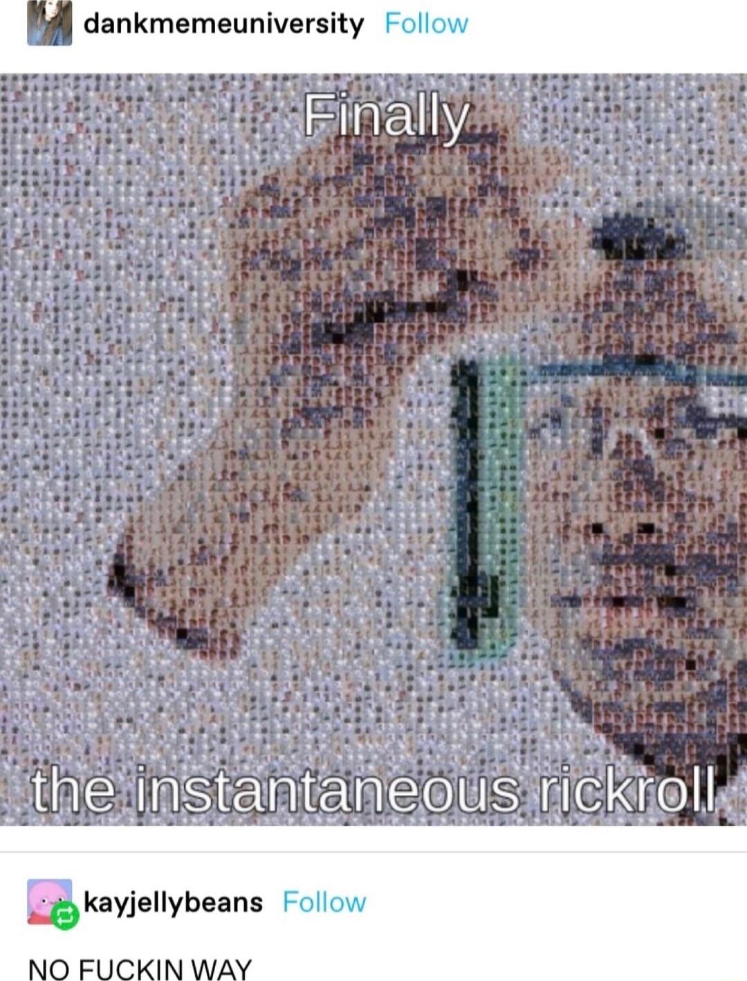 4 dankmemeuniversity S EREREe kayjellybeans ollc
