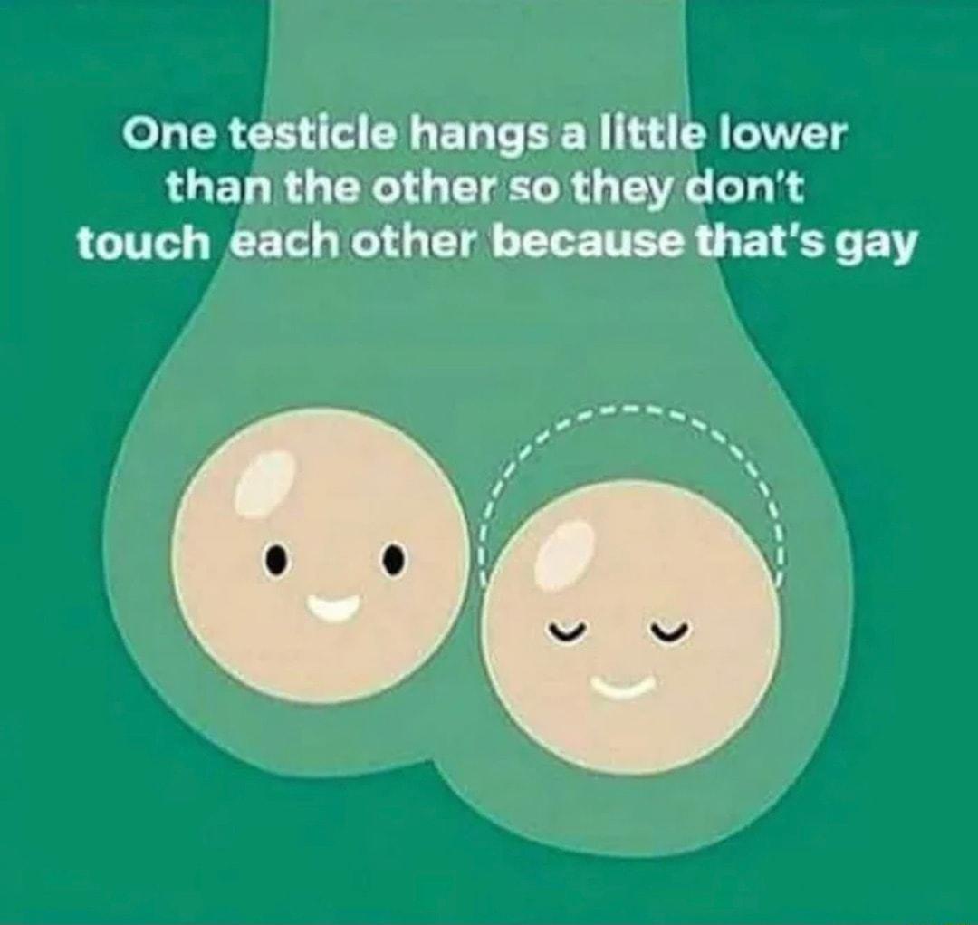 Lo LR ELTH B BT T EEY IlnlL lower RLET R CIECR L I LR touch each other because thats gay