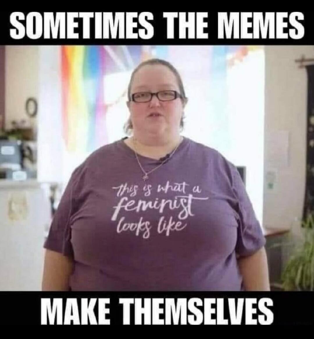 SOMETIMES THE MEMES MAKE THEMSELVES this is what a feminist looks like