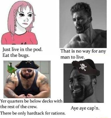 et Just live in the pod That is no way forany Eat the bugs man to live Yer quarters be below decks with the rest of the crew Ayeaye capn There be only hardtack fer rations