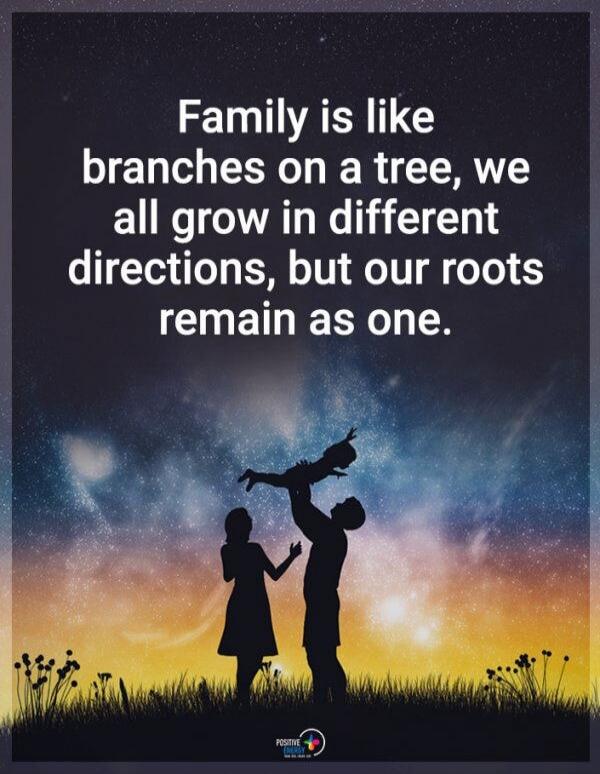 Family is like branches on a tree, we all grow in different directions, but our roots remain as one.