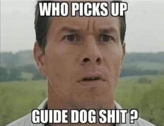 WHO PICKS UP GUIDE DOG SHIT?