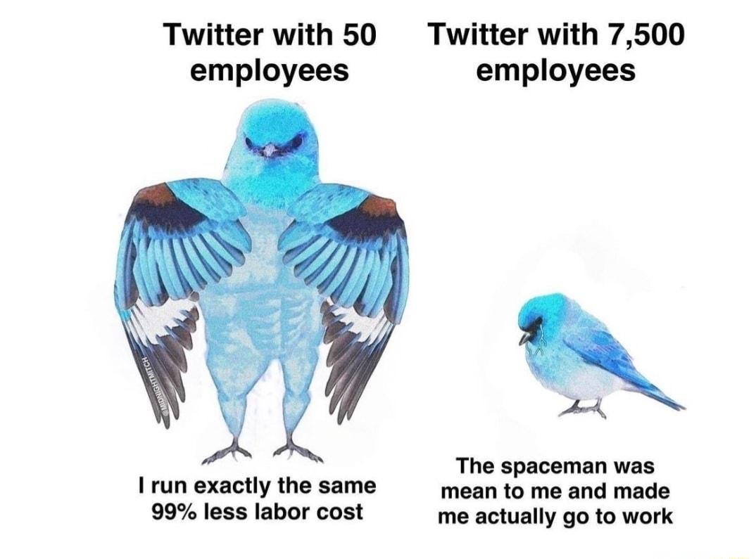 Twitter with 50 Twitter with 7500 employees employees a4 The spaceman was Irun exactly the same mean to me and made 99 less labor cost me actually go to work