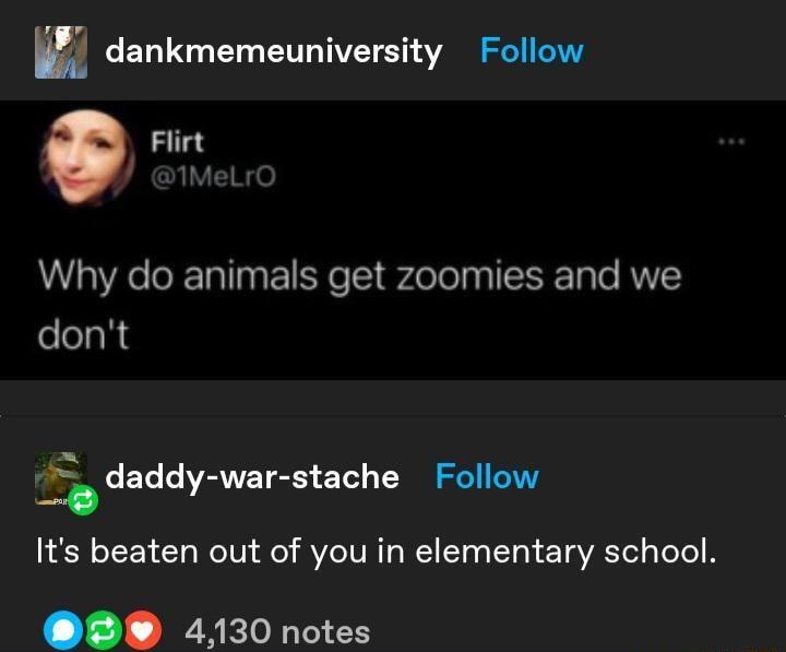 dankmemeuniversity Follow Flirt Why do animals get zoomies and we dont daddy war stache Follow g deddy LA oIS Yg e Vi de IVZCIVRTOCTTo o Tk T aVATel gTotol B 4130 notes