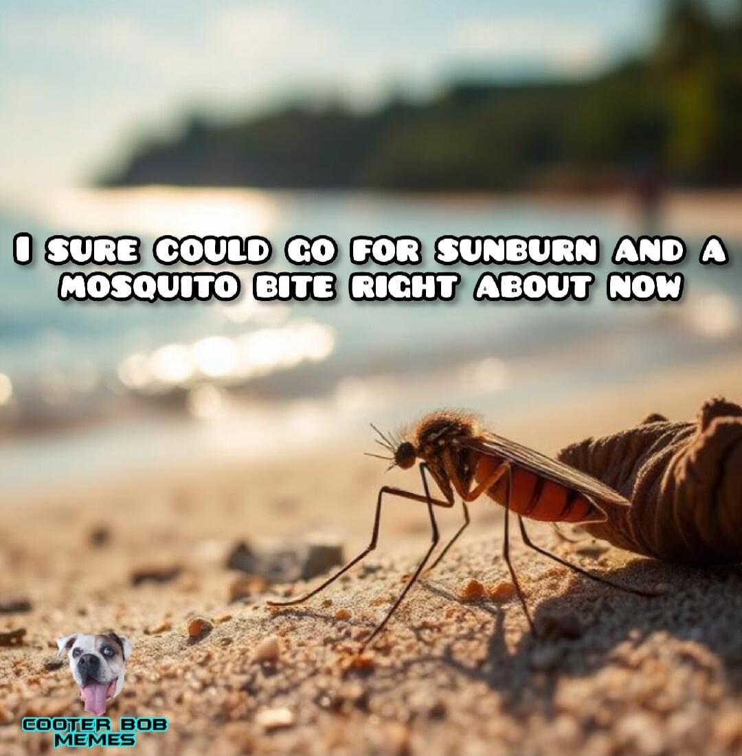 I SURE COULD GO FOR SUNBURN AND A MOSQUITO BITE RIGHT ABOUT NOW