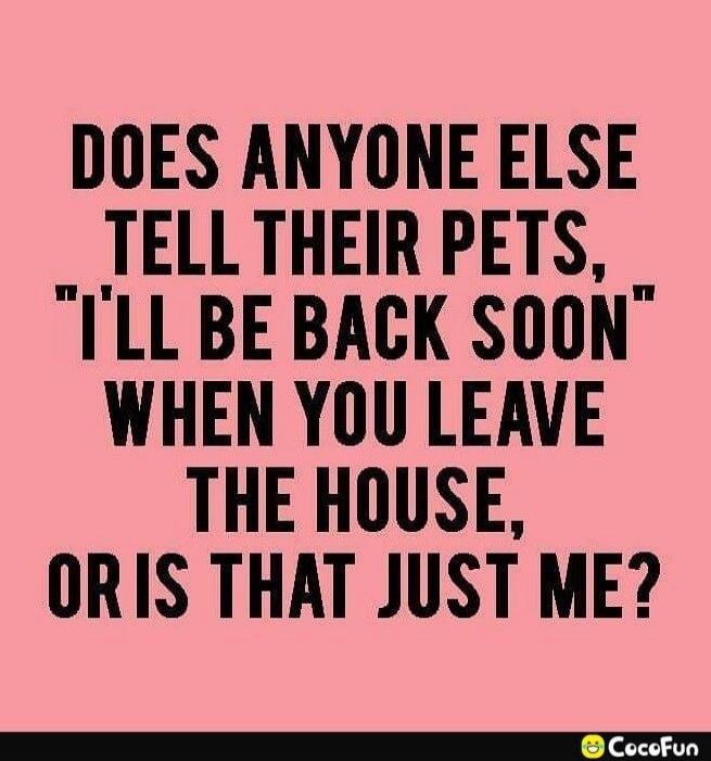 DOES ANYONE ELSE TELL THEIR PETS, 