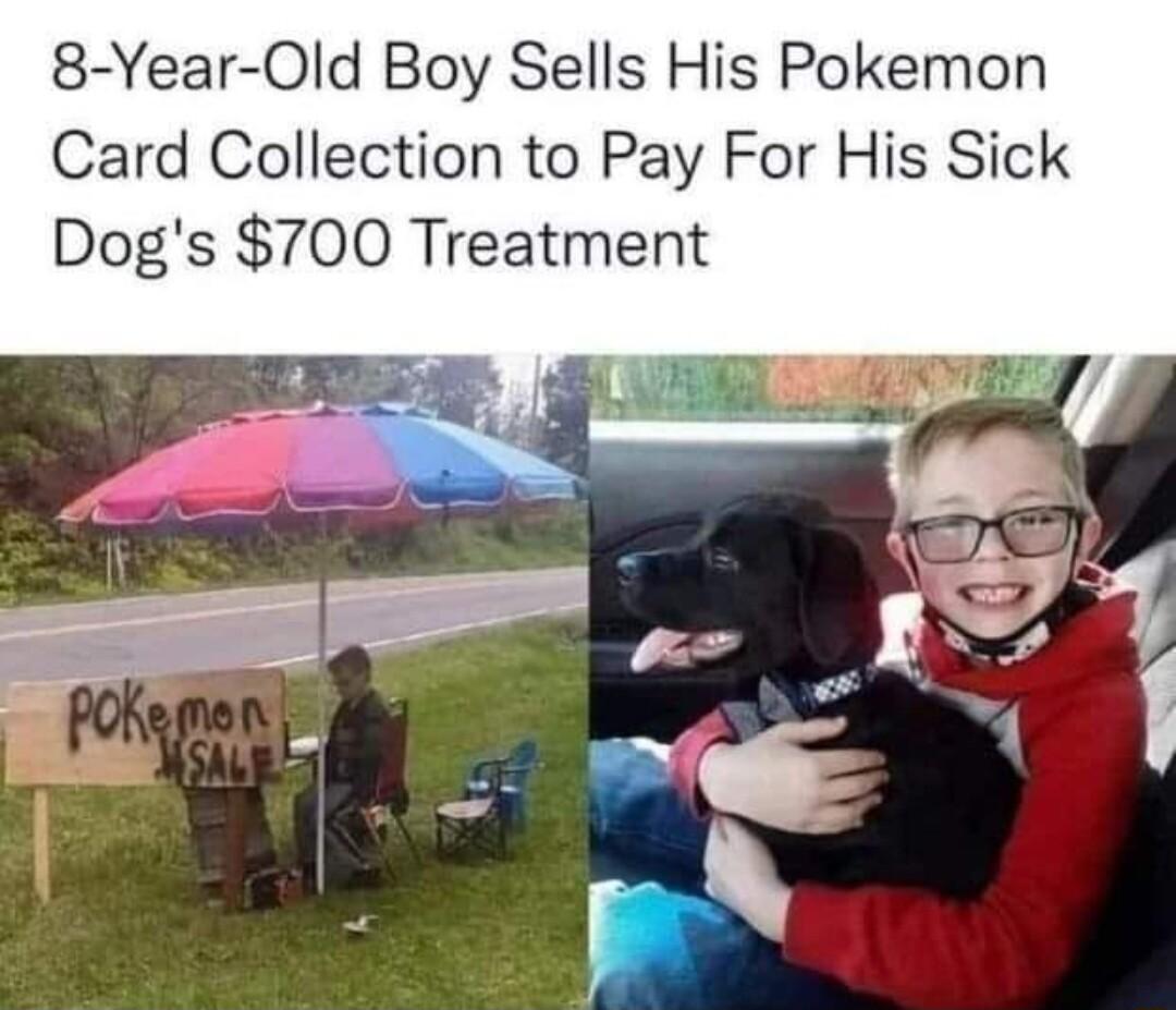 8 Year Old Boy Sells His Pokemon Card Collection to Pay For His Sick Dogs 700 Treatment