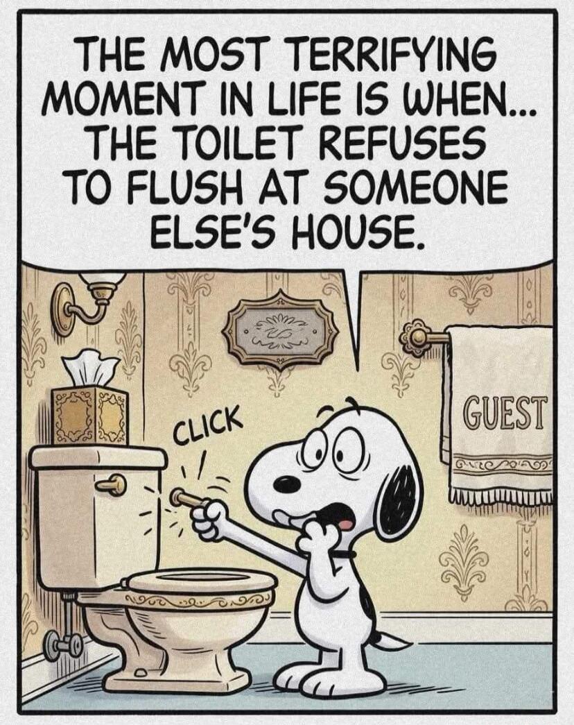 THE MOST TERRIFYING MOMENT IN LIFE IS WHEN... THE TOILET REFUSES TO FLUSH AT SOMEONE ELSE'S HOUSE. CLICK GUEST