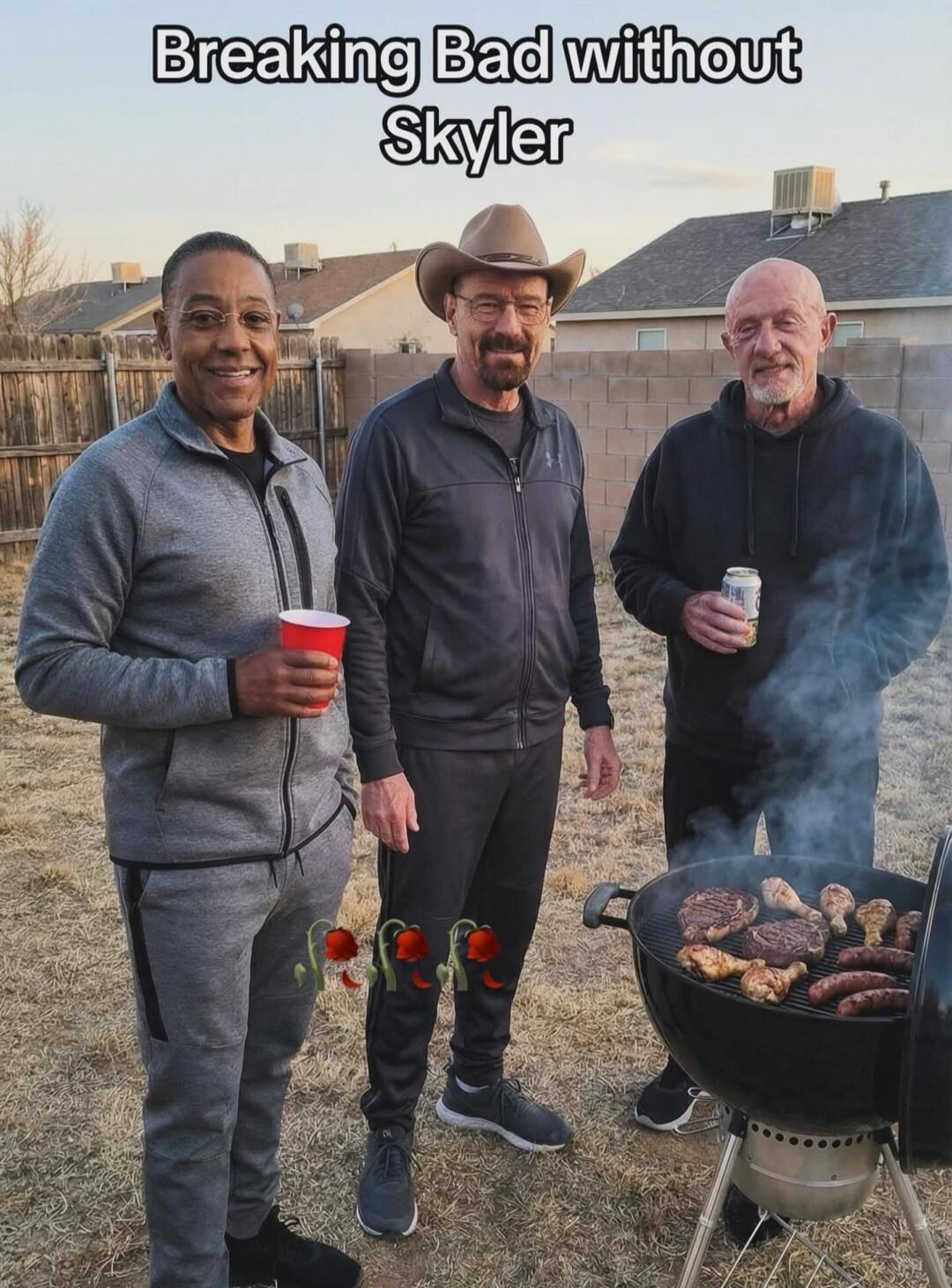 Breaking Bad without Skyler