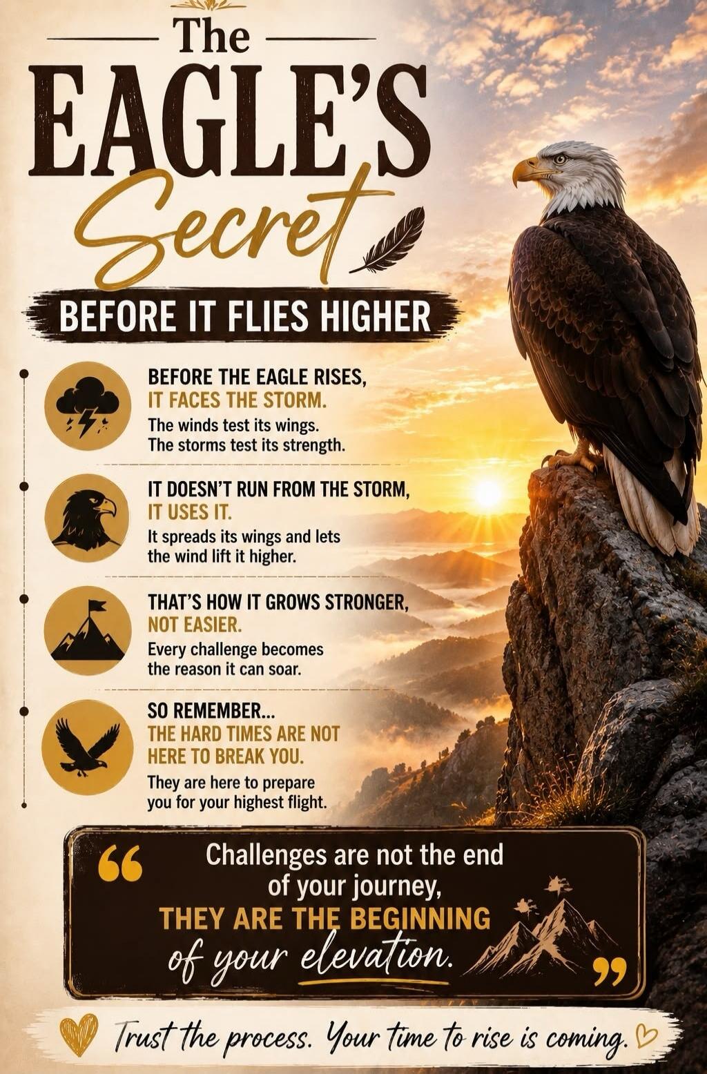 The Eagle's Secret BEFORE IT FLIES HIGHER. BEFORE THE EAGLE RISES, IT FACES THE STORM. The winds test its wings. The storms test its strength. IT DOESN'T RUN FROM THE STORM, IT USES IT. It spreads its wings and lets the wind lift it higher. THAT'S HOW IT GROWS STRONGER, NOT EASIER. Every challenge becomes the reason it can soar. SO REMEMBER... THE 