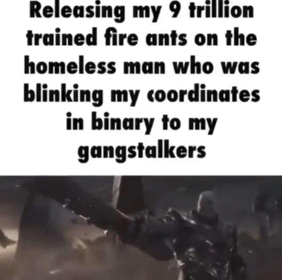 Releasing my 9 trillion trained fire ants on the homeless man who was blinking my coordinates in binary to my gangstalkers