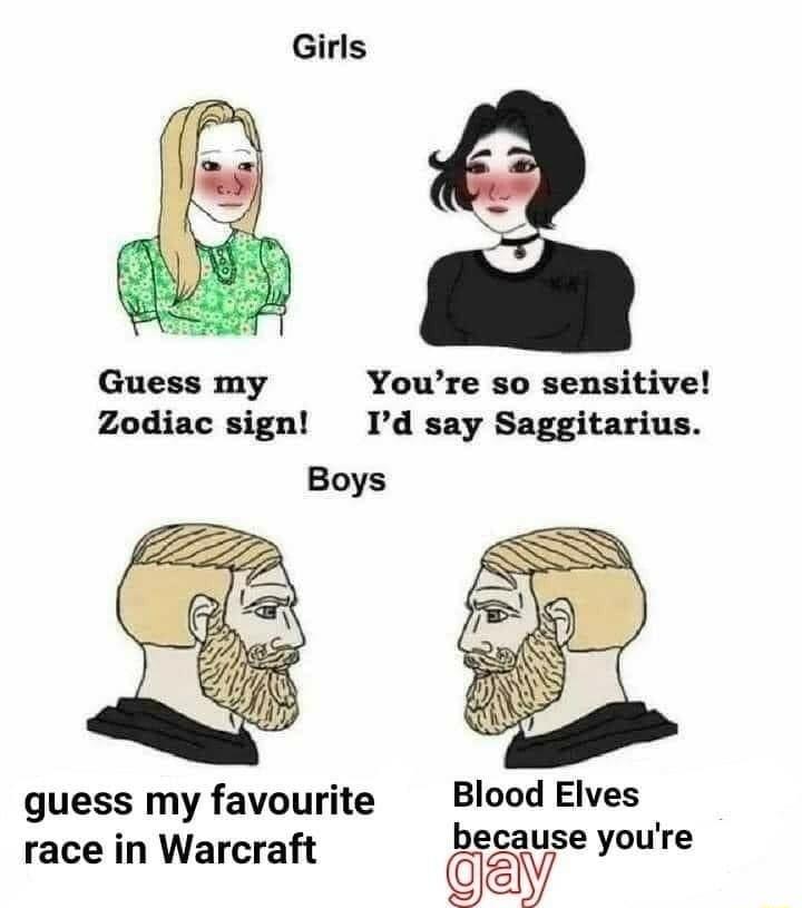 Girls Guess my Youre so sensitive Zodiac sign Id say Saggitarius Boys guess my favourite Blood Elves race in Warcraft because youre