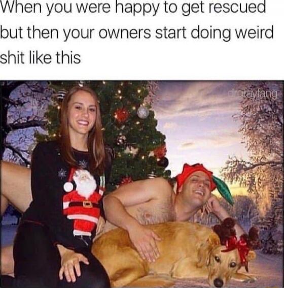When you were happy to get rescued but then your owners start doing weird shit like this