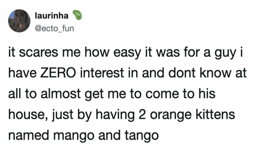 laurinha @ecto_fun it scares me how easy it was for a guy i have ZERO interest in and dont know at all to almost get me to come to his house, just by having 2 orange kittens named mango and tango