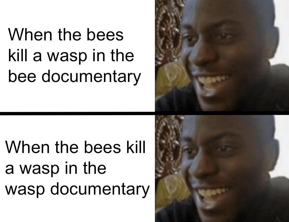 When the bees kill a wasp in the bee documentary When the bees Kill a wasp in the wasp documentary