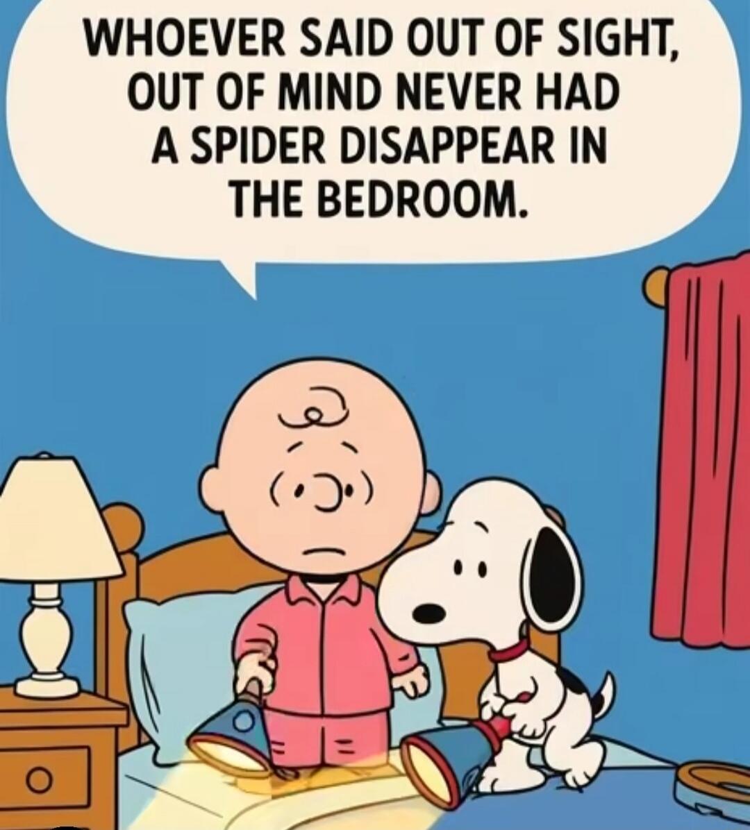 WHOEVER SAID OUT OF SIGHT, OUT OF MIND NEVER HAD A SPIDER DISAPPEAR IN THE BEDROOM.