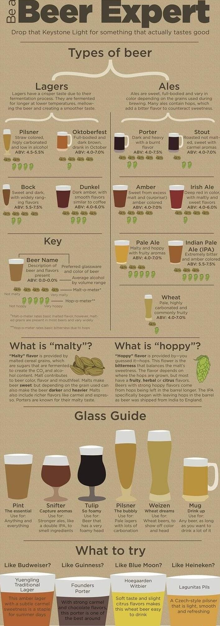 sBeer Expert Drop that Keystone Light for something that actually tastes good Types of beer Lagers Lagers ave s criper st e ot ot oo tampaees e i S s l st Y s o o 9990 Ales color depending on the grans tsed durn 3 Ot s o o SHEENES Porter stout as s G U Bock Dunkel Amber Irish Ale oot ant o Dk amosr it et fom cess N o 10 s ol i i ans oo favors Rumiced o g o St o cotle e ol ot v B 5578 AB 405 0 s AB