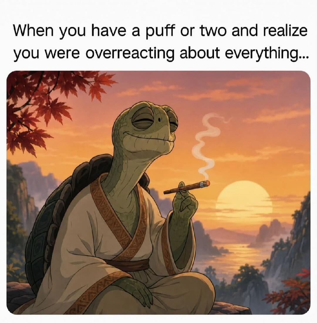 When you have a puff or two and realize you were overreacting about everything...
